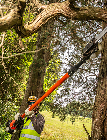 Power Pruner Accessories